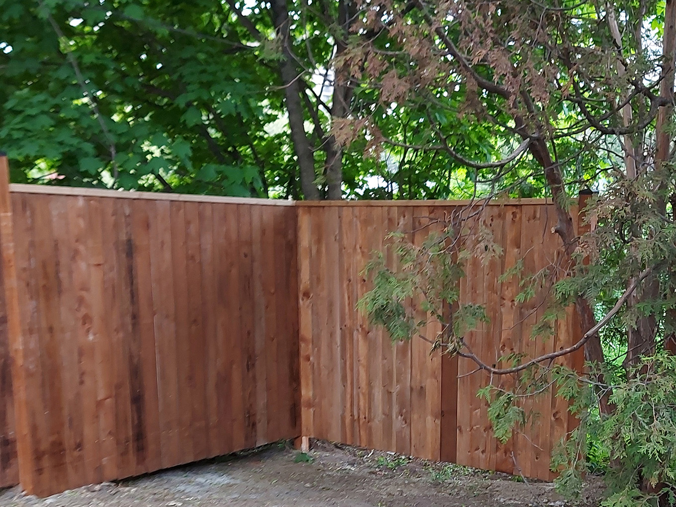 Wood Fence Service Located in Toronto, Ontario